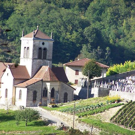 Gite Du Vieux Tonneau Cerdon  Kültér fotó